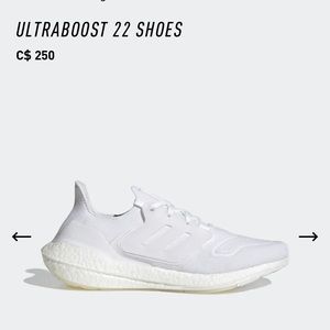 Adidas ultraboost 2021 (white)